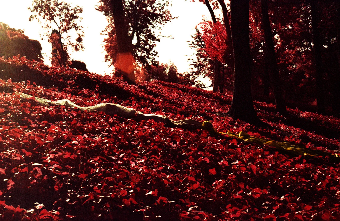4_Infrared.jpg