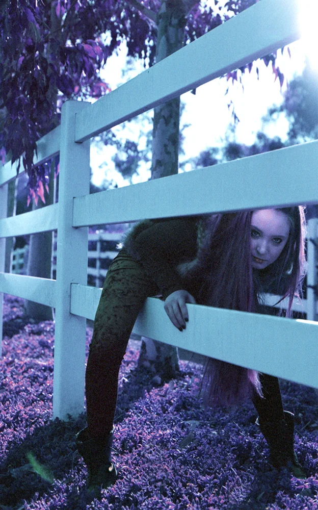 purple chrome_fence.jpg