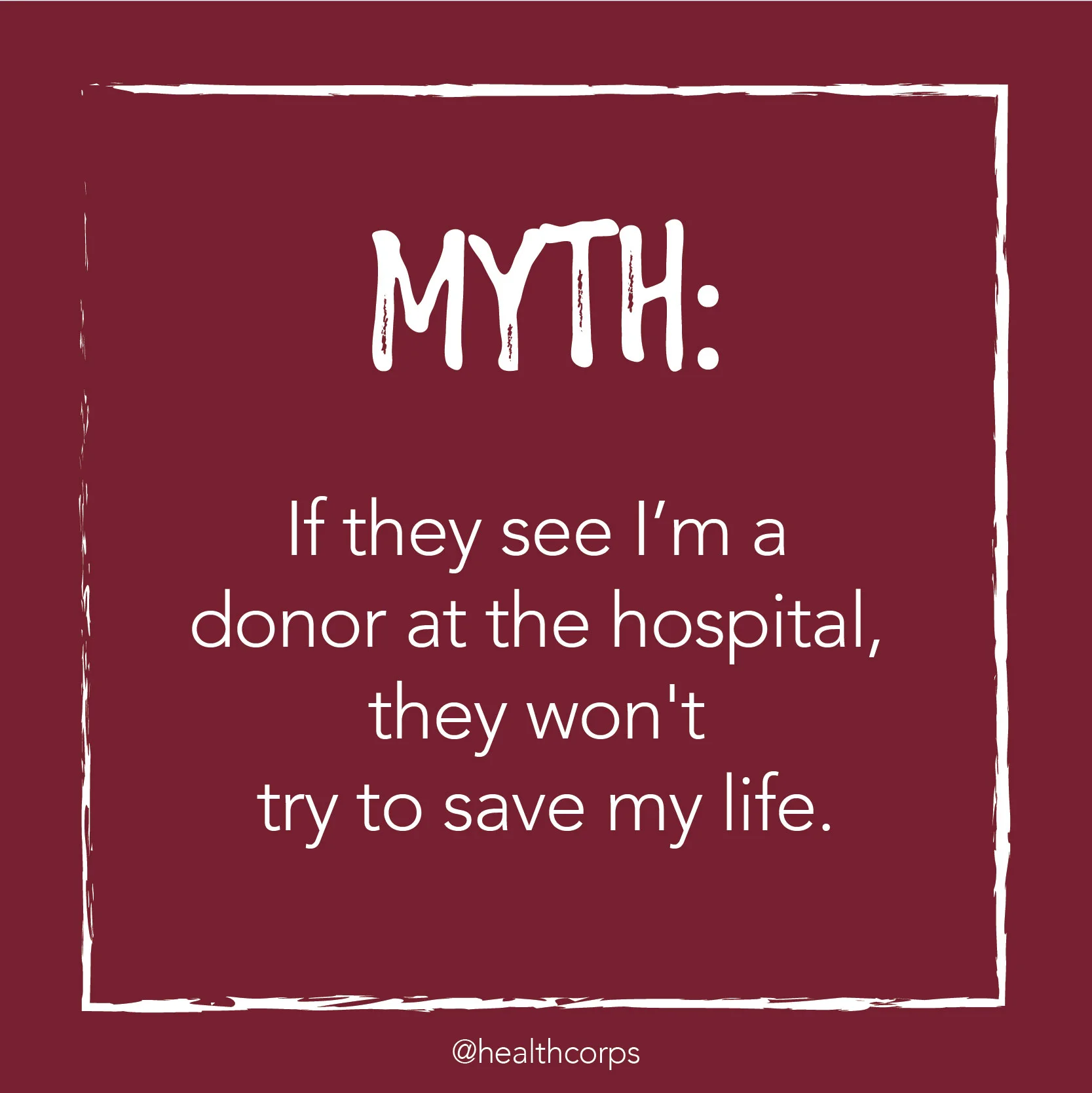 Organ Myths-04.jpg