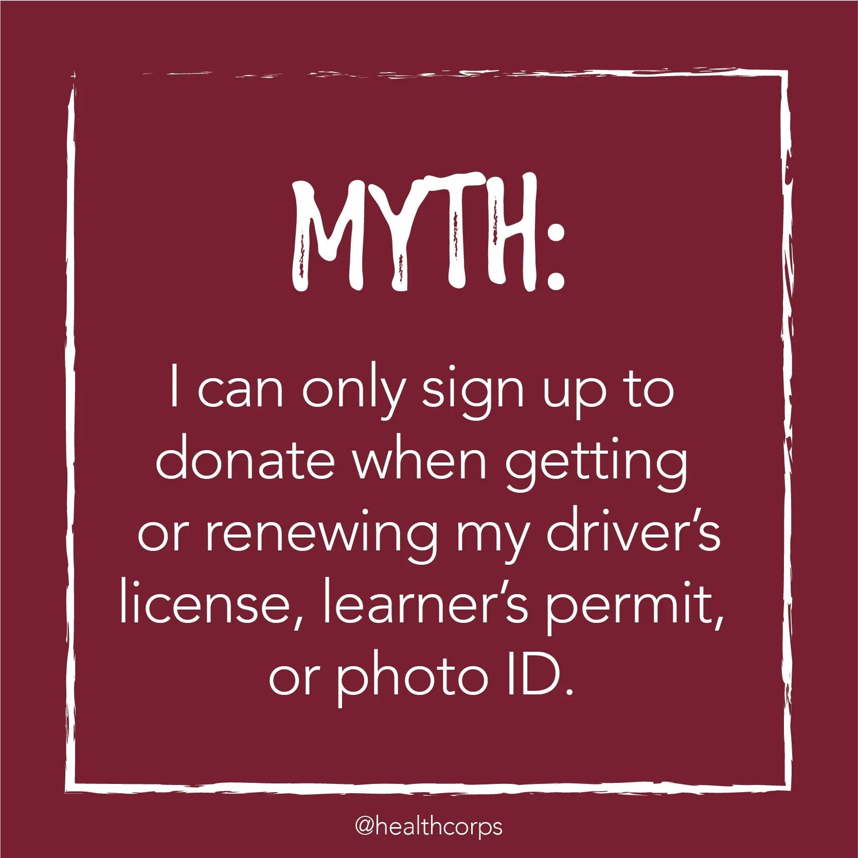 Organ Myths-06.jpg