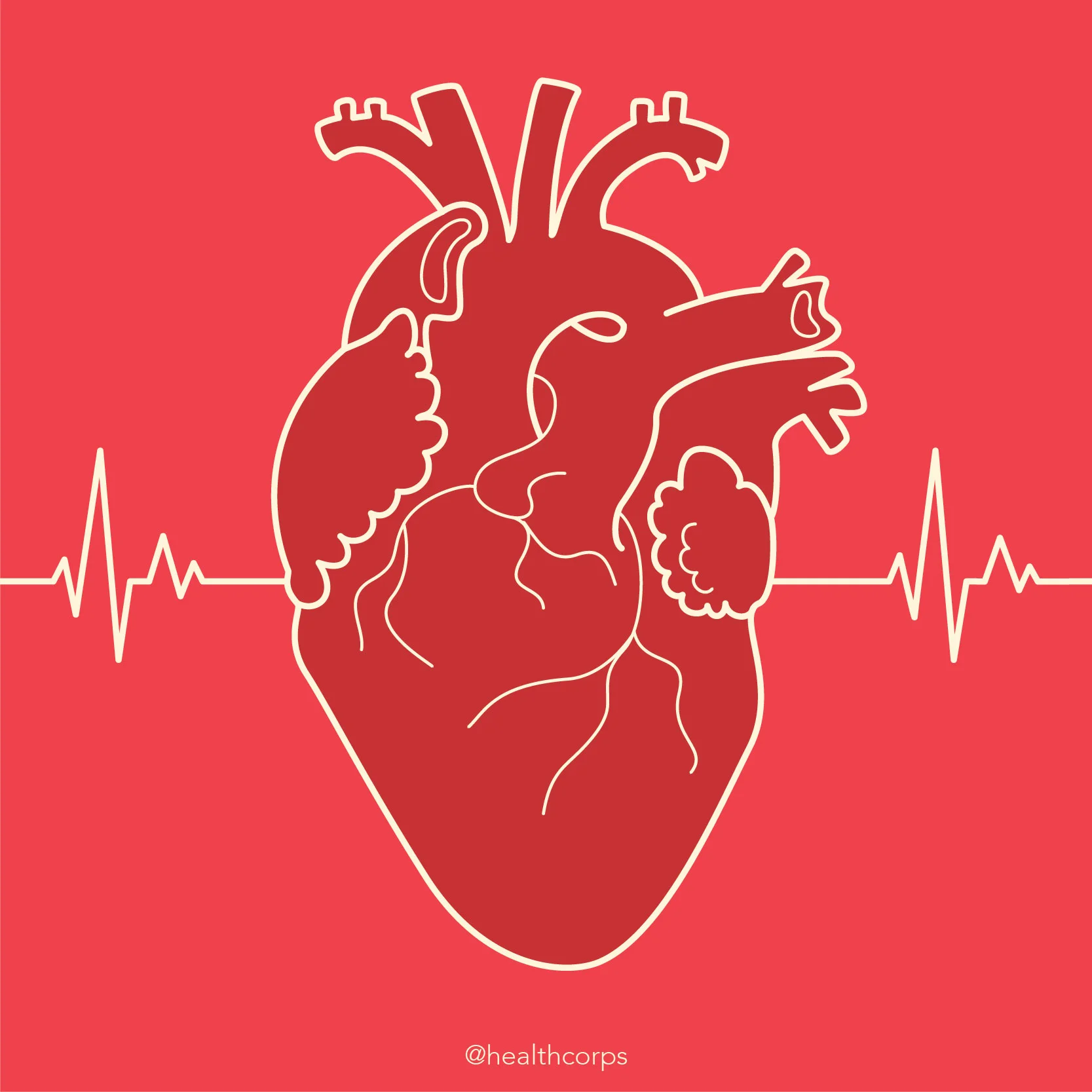 heart illustration-01.jpg