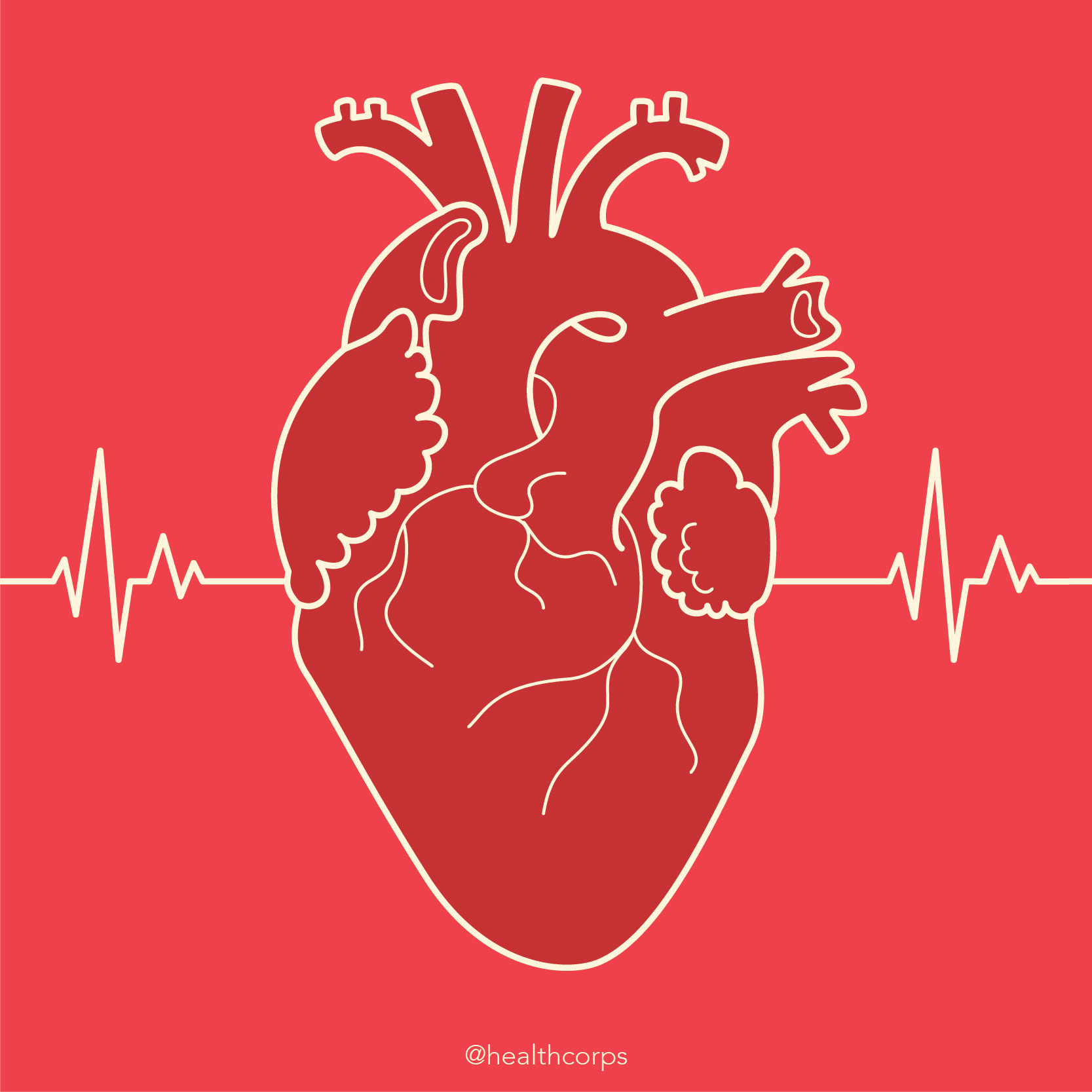 heart illustration-01.jpg