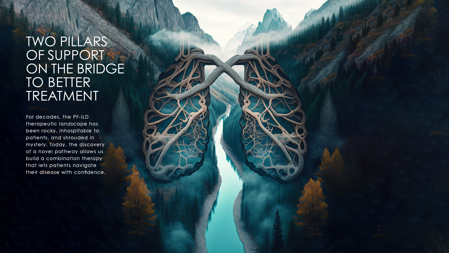 Lung_bridge_02.png