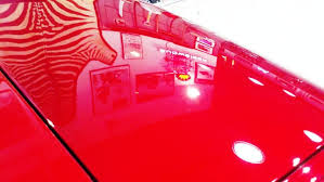 RED CLOSE UPimages2774SC3N.jpg