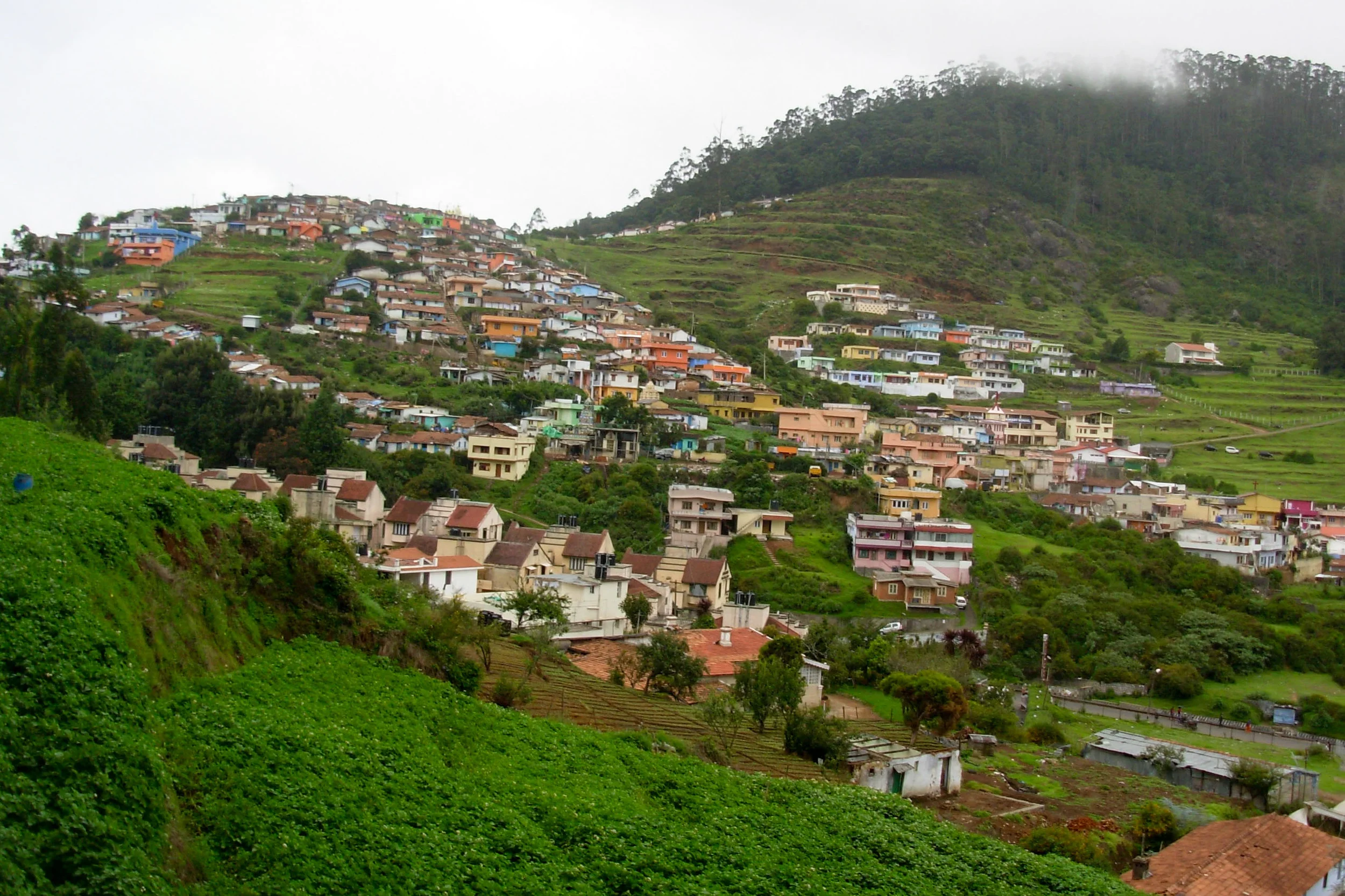 DSCN0151.jpg