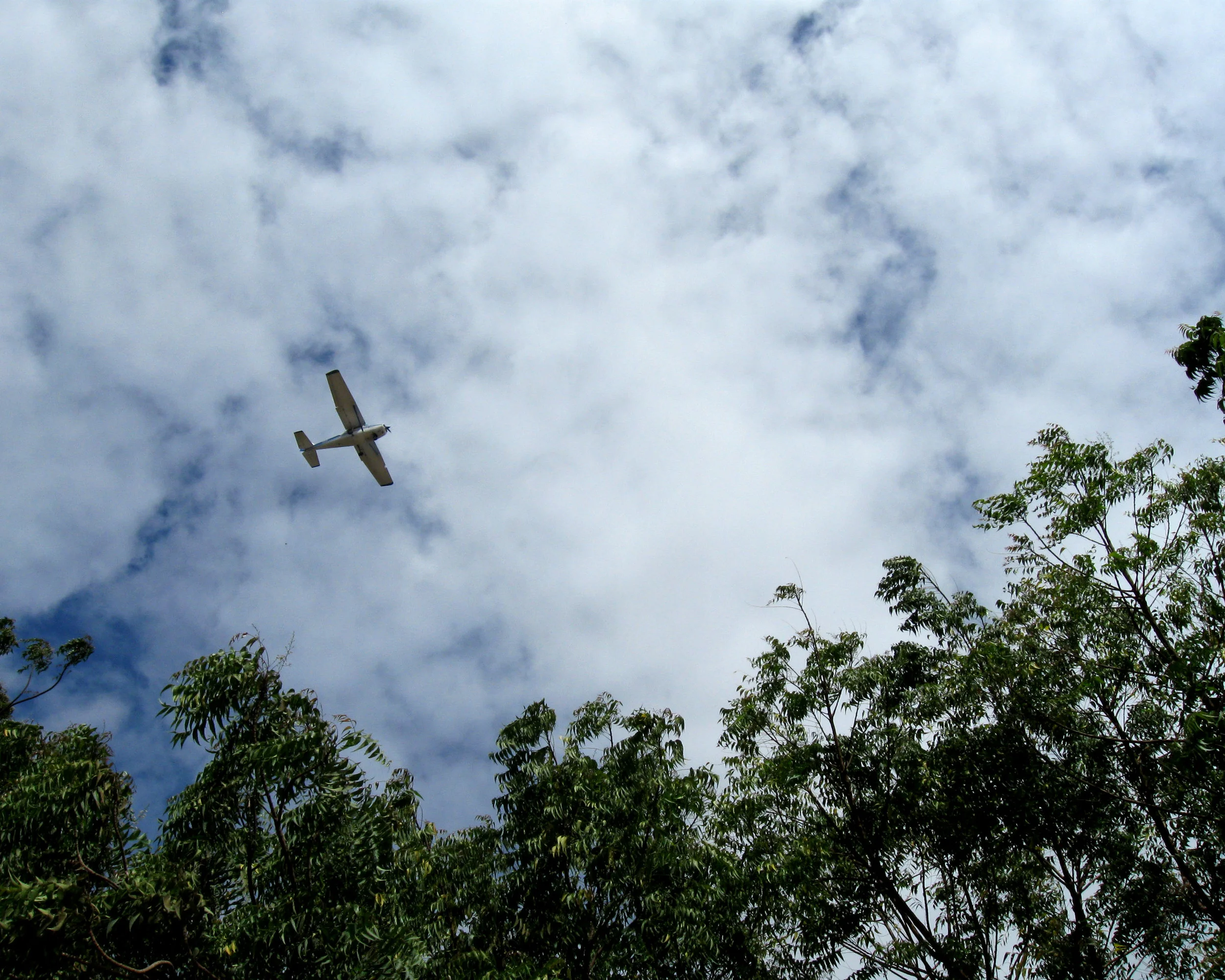 "Airplane"
