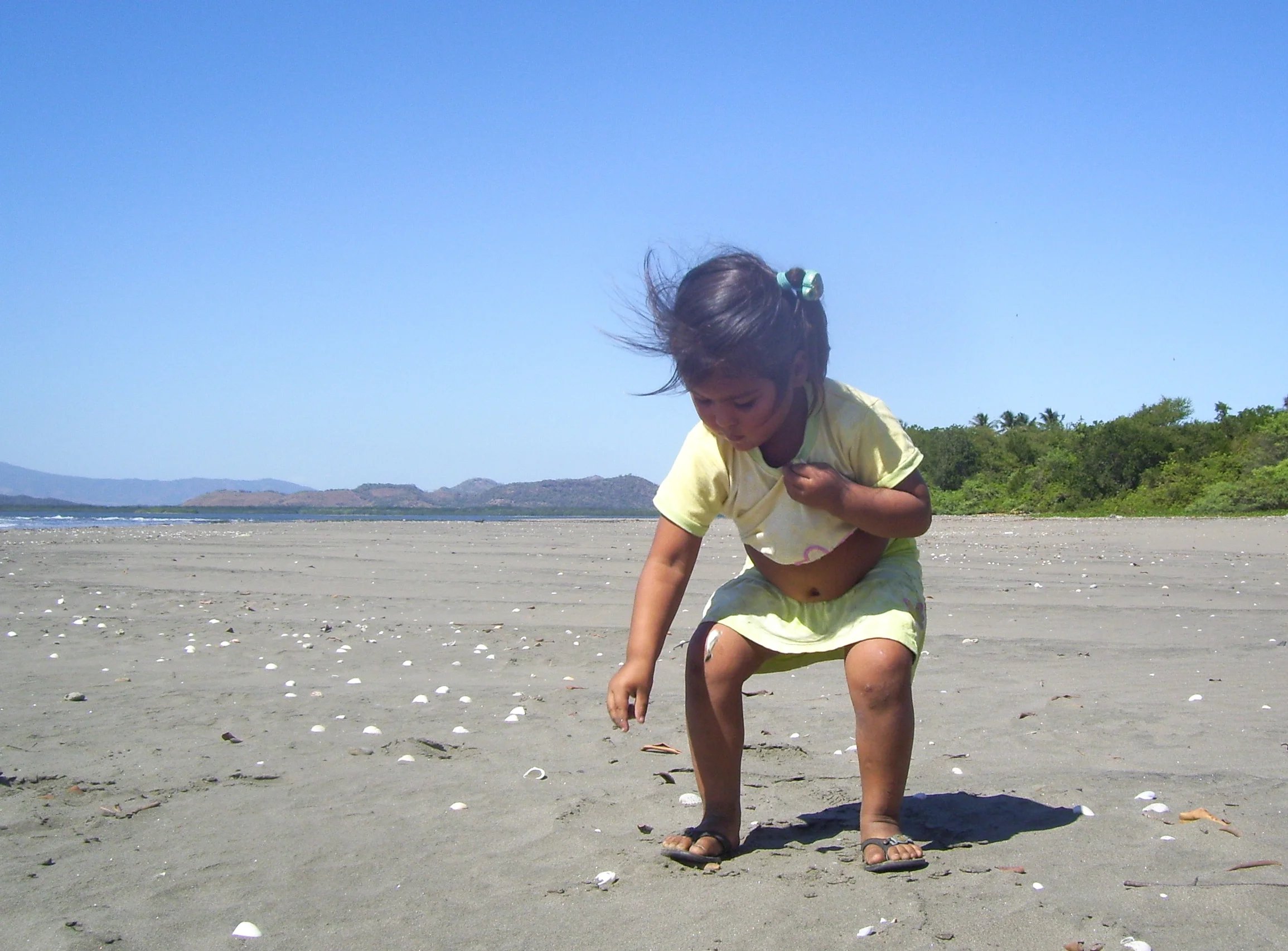 Collecting Shells- Jose Escalante Rentaria- 2011.jpg