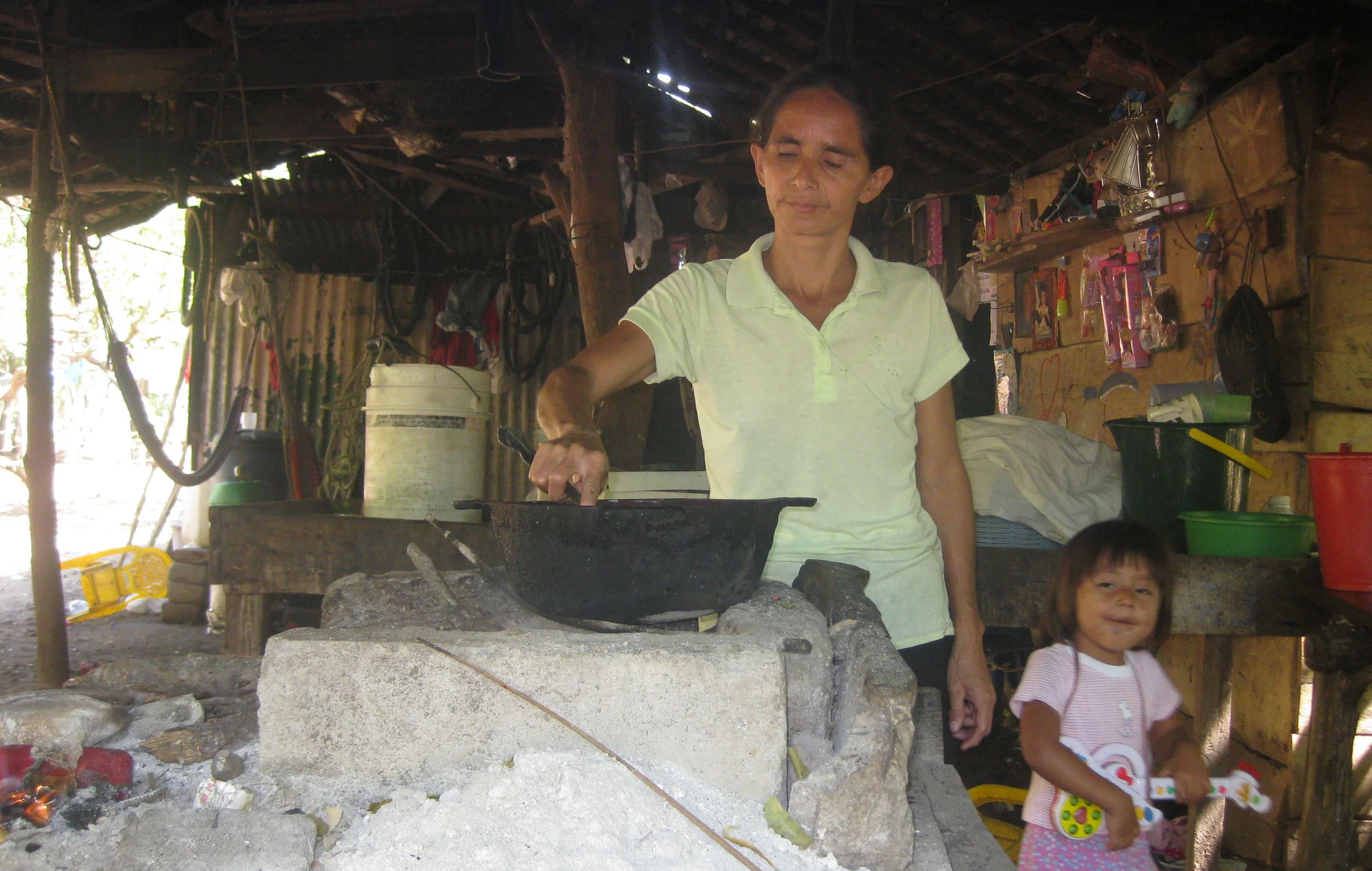 Mama Making Dinner- Gloria Diaz Umanzor-- 2011.jpg