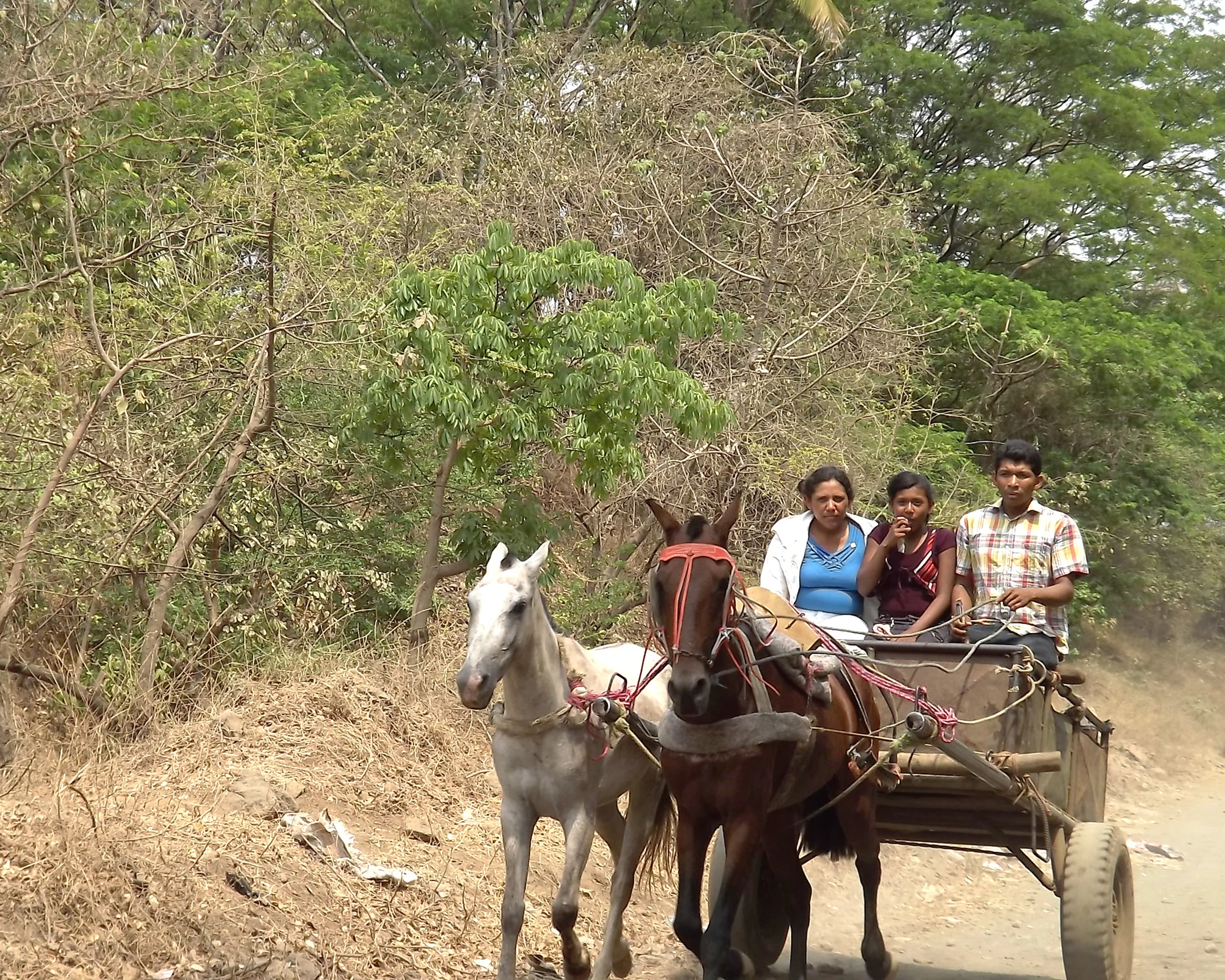 "Family Transportation"