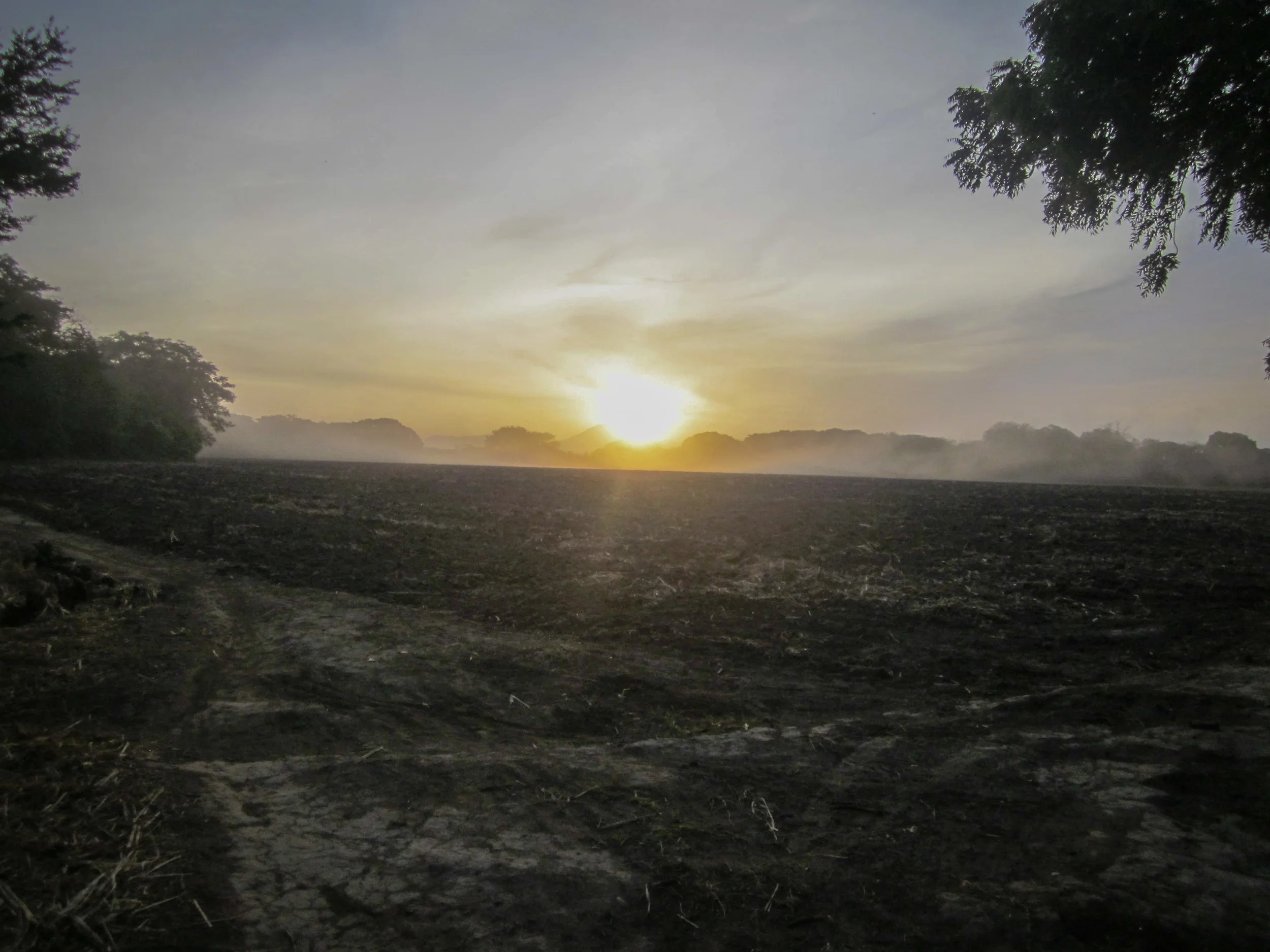 Sunrise Over The Fields