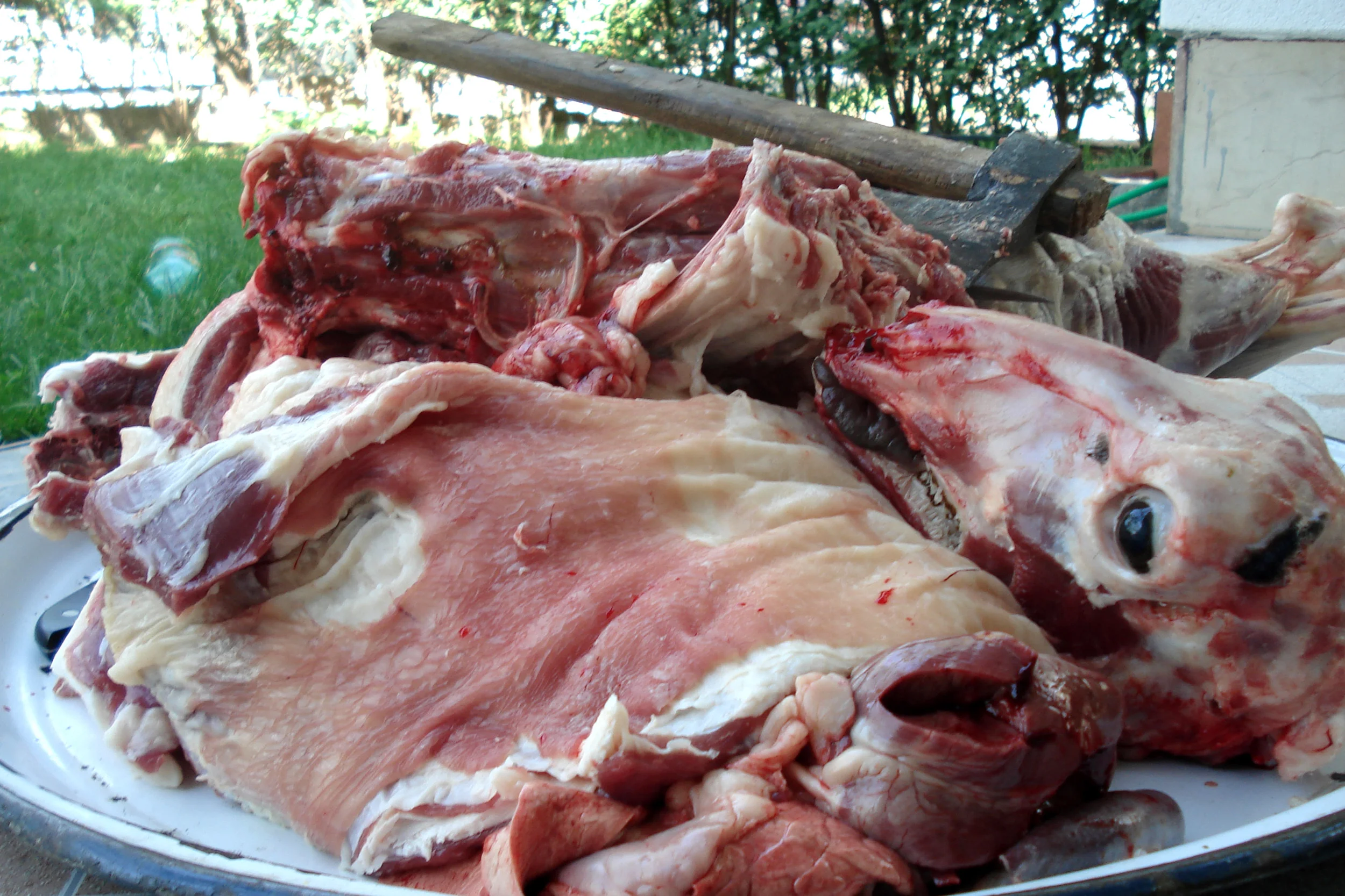 Sheep Preparation for Djurdjevdan by Violeta Harizagj