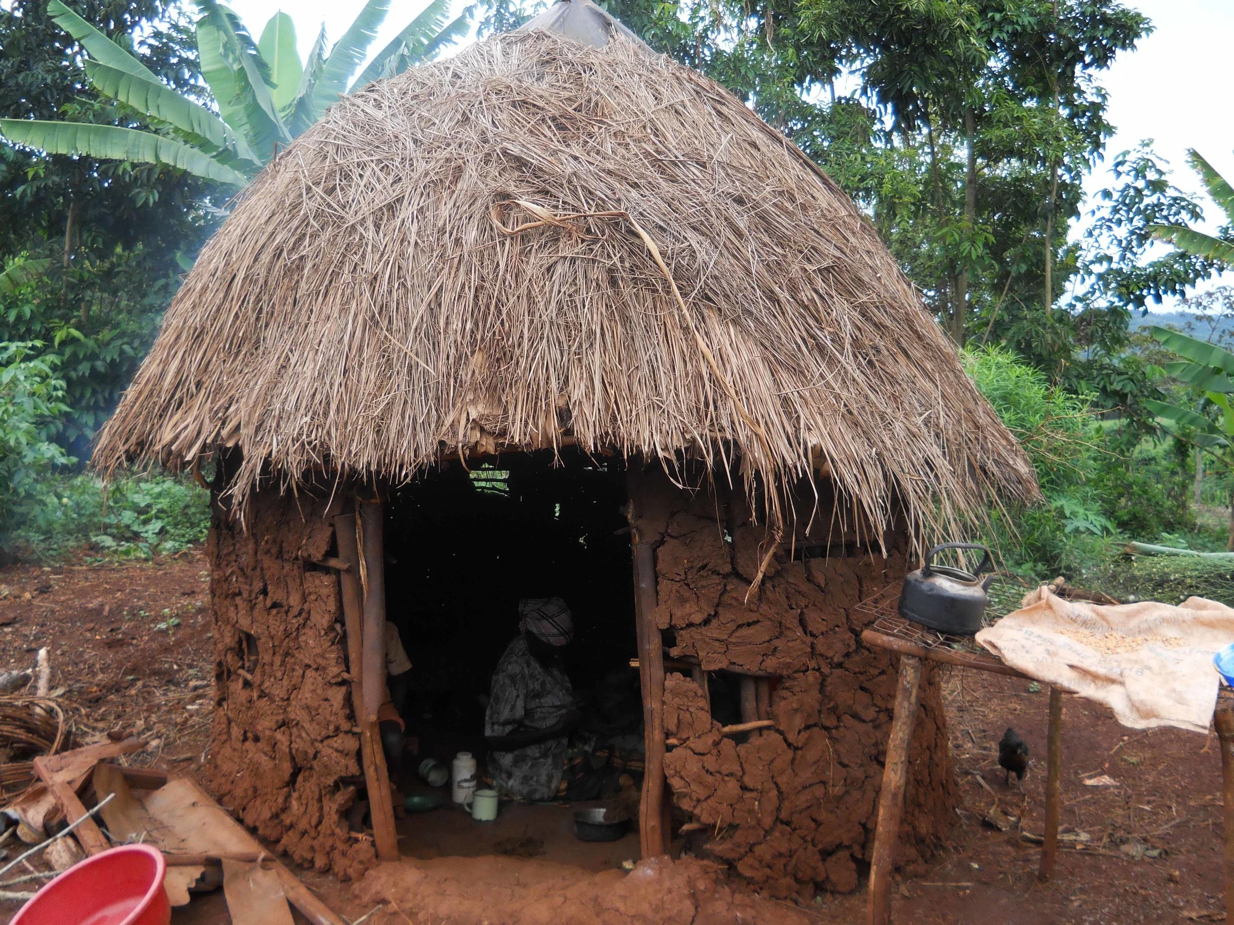 'Jaja (Grandmother) in Her Kitchen' by Hozey Ziwa