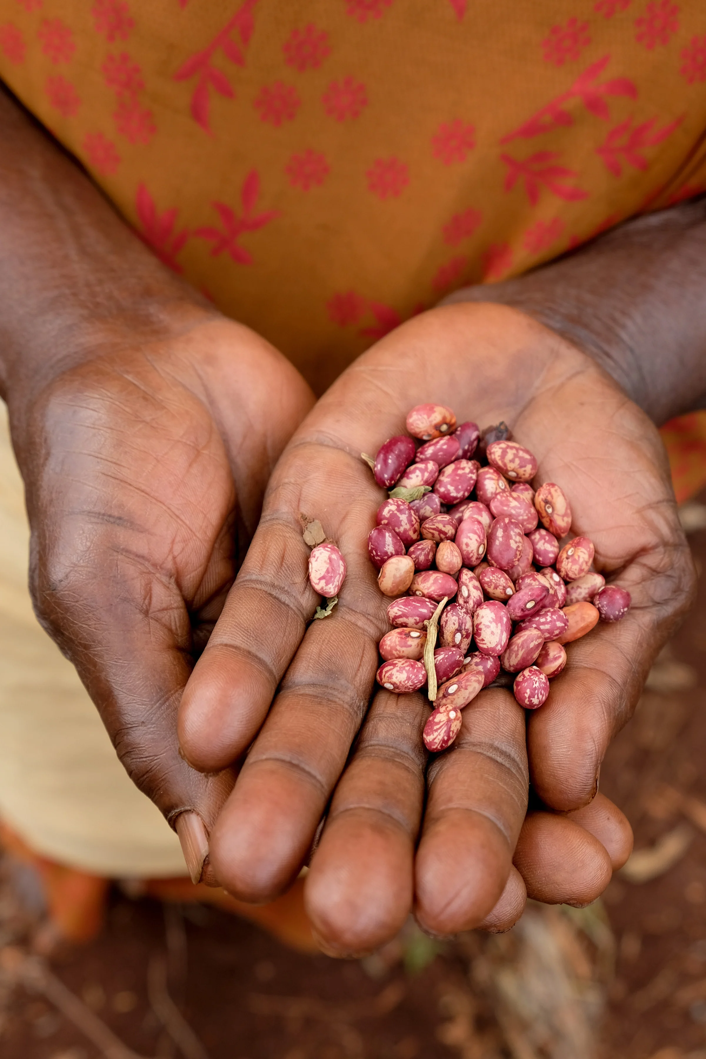 'A Handful Feeds a Family' by Jackline Atim