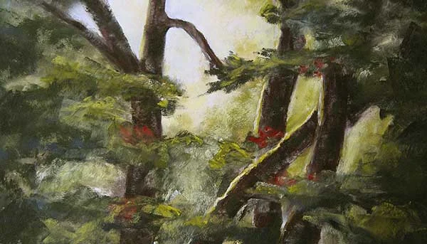 Nancy Ging Shows at Beach Store Cafe