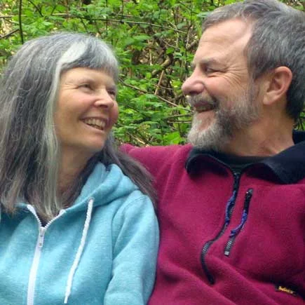 Discovering Tree Frog Farm