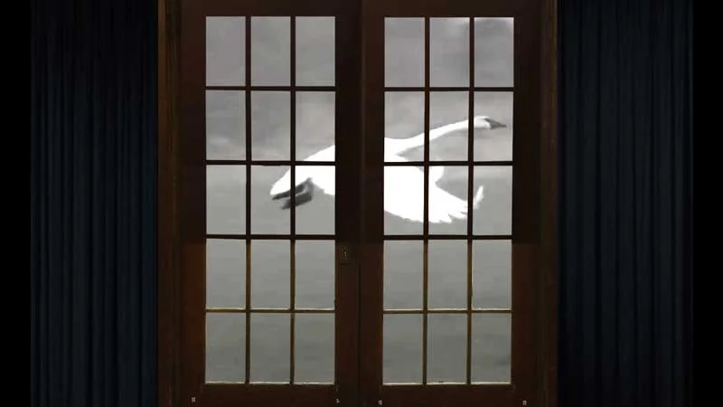 Video projection on the Grange Hall doors