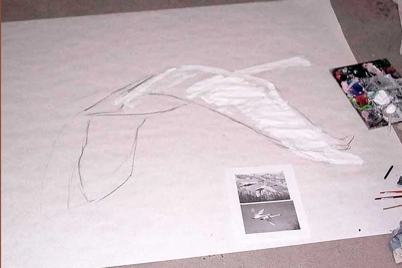 Swans begin in sketch and Gesso