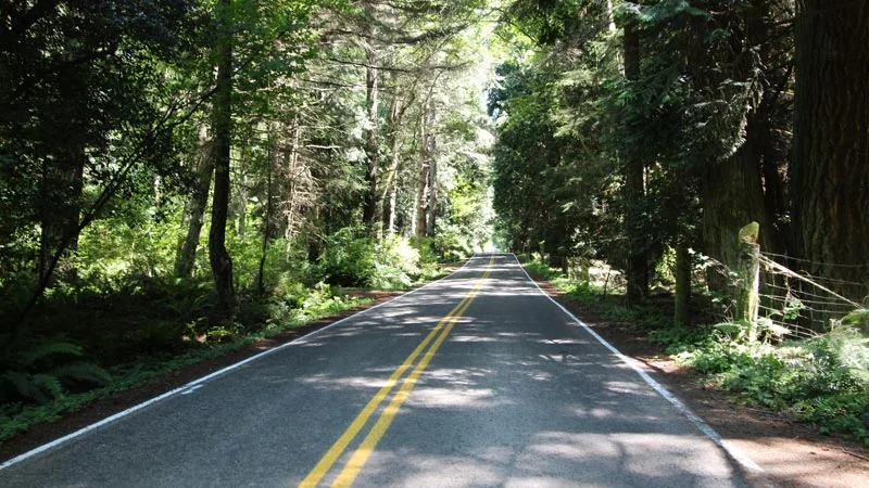 The cedar hall of Sunrise Road