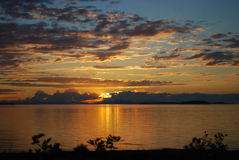 Sallie's ol' Sol. Photo by Karen Myers Barker