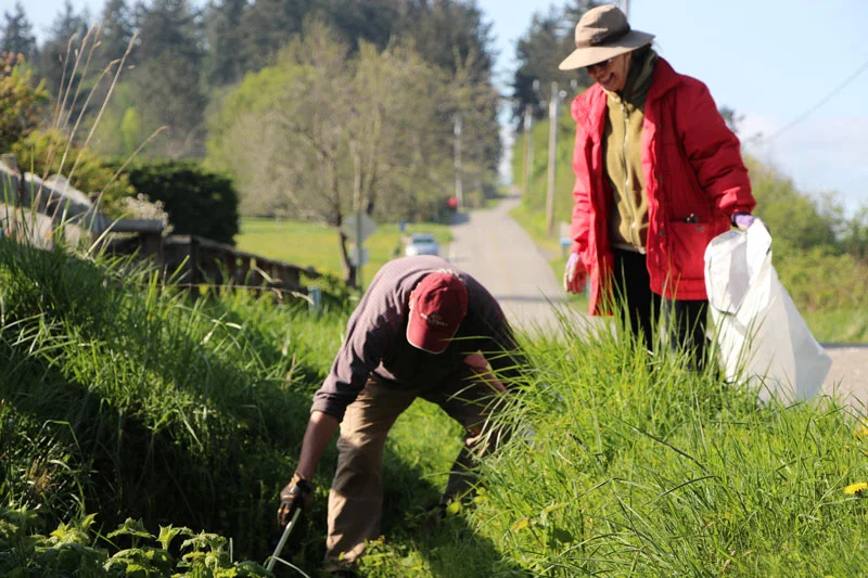 Lummi Island: pick of the litter