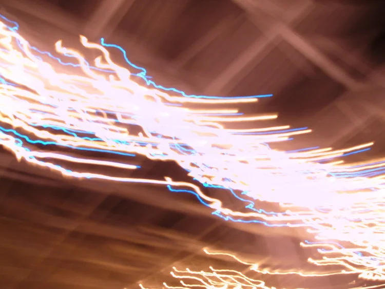 Tyrant Flycatcher featuring Tropical Victor Burgett & Jason Sands