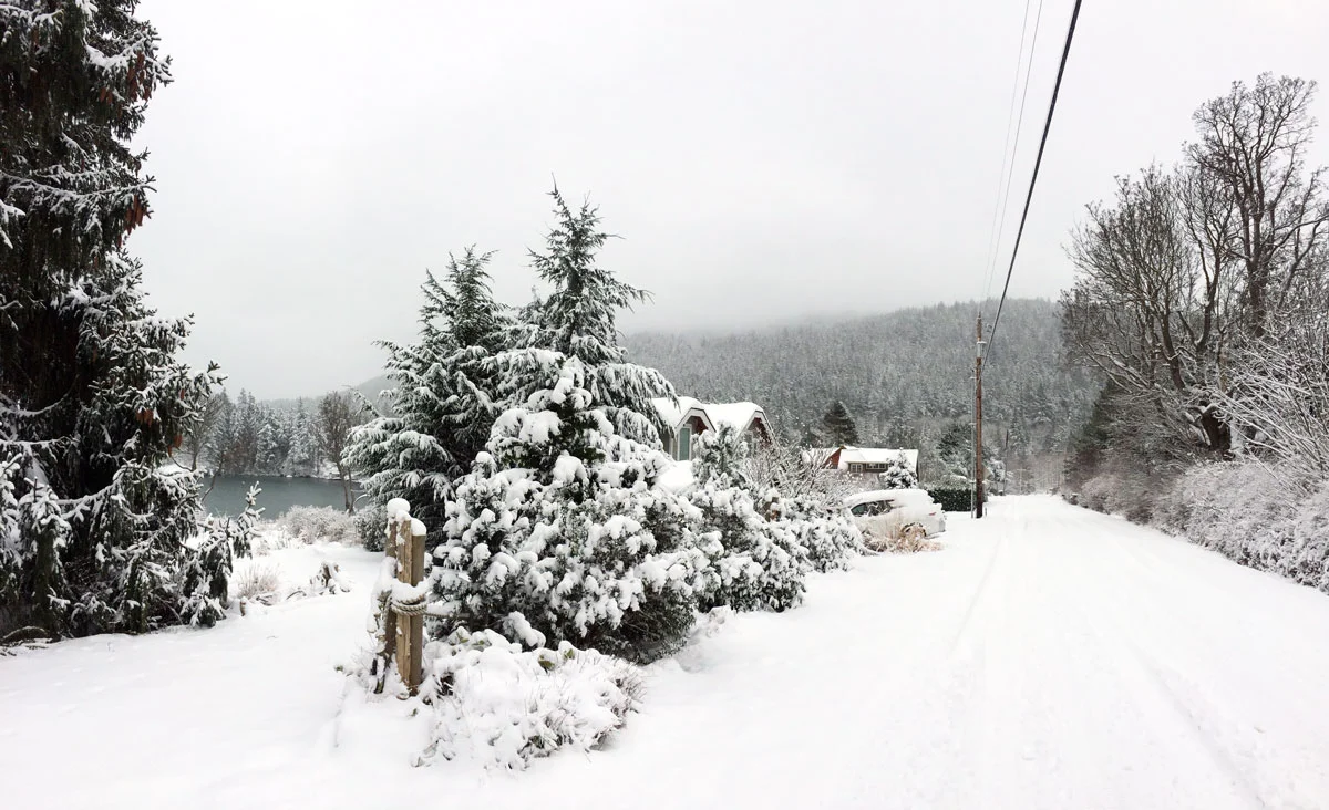 South Nugent Road approaching Sunrise Road