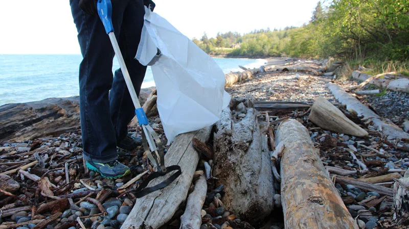 Cleanup on Frank’s Beach