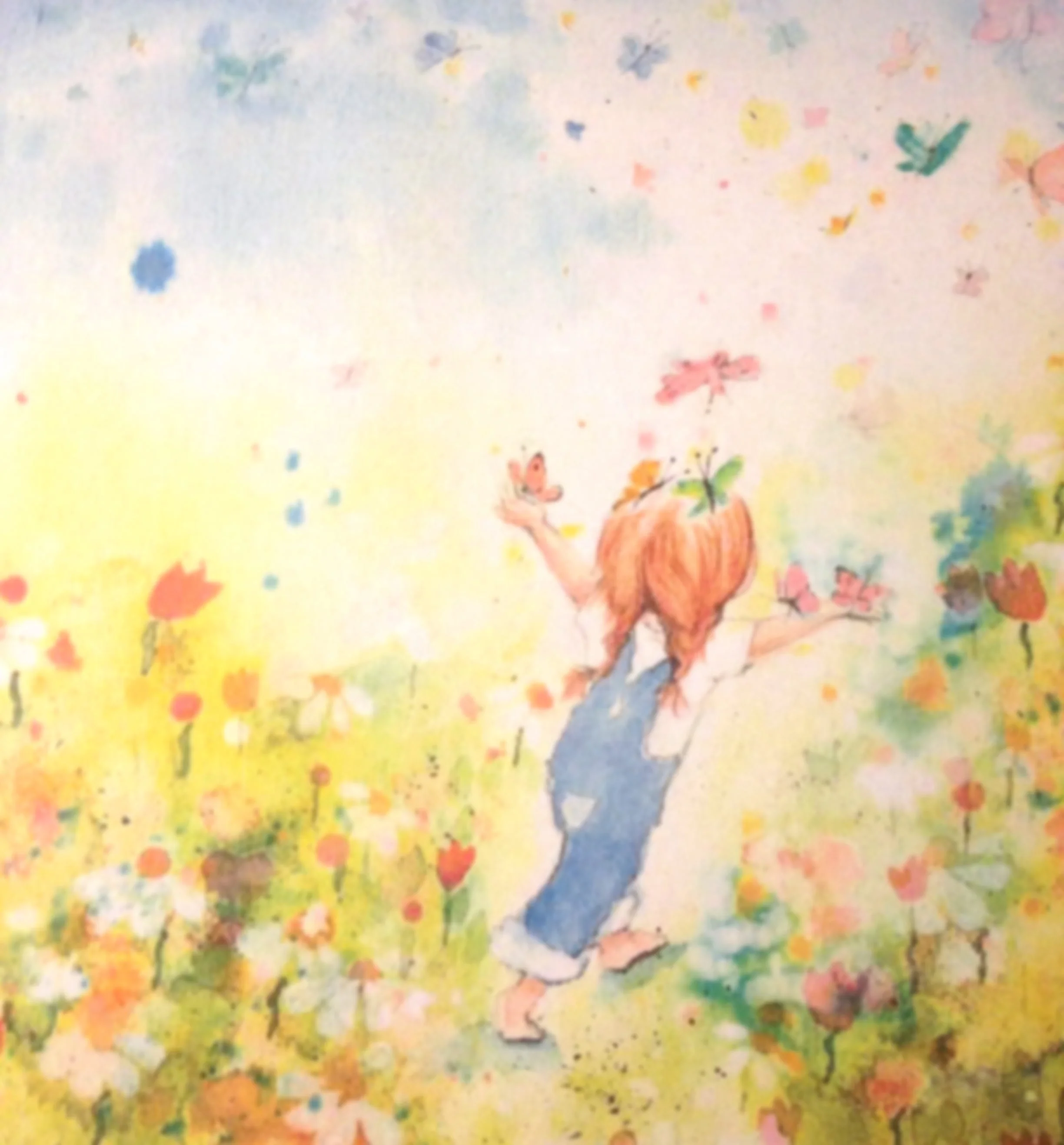 Butterfly_1
