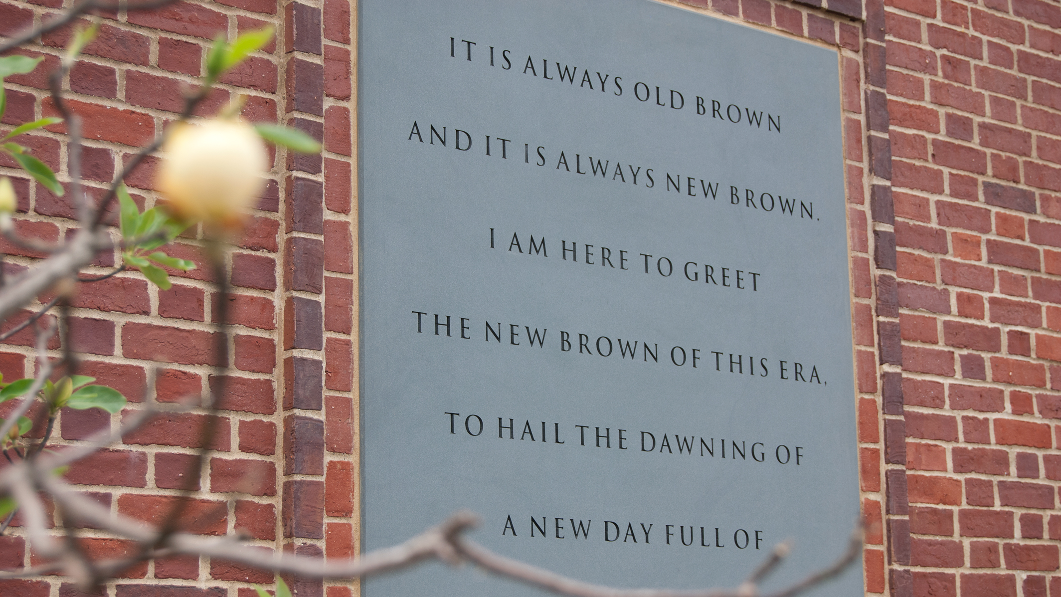BrownUniversity-NelsonFitness_Sign.png