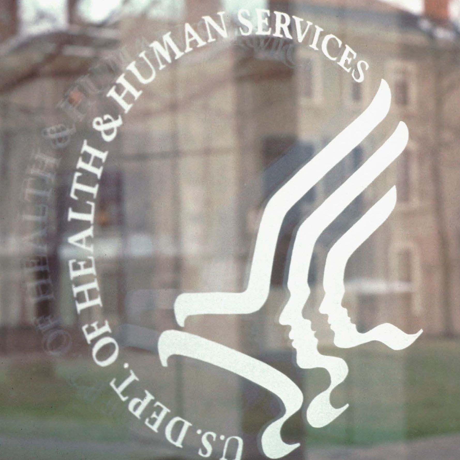 HHS_Vinyl_th.png