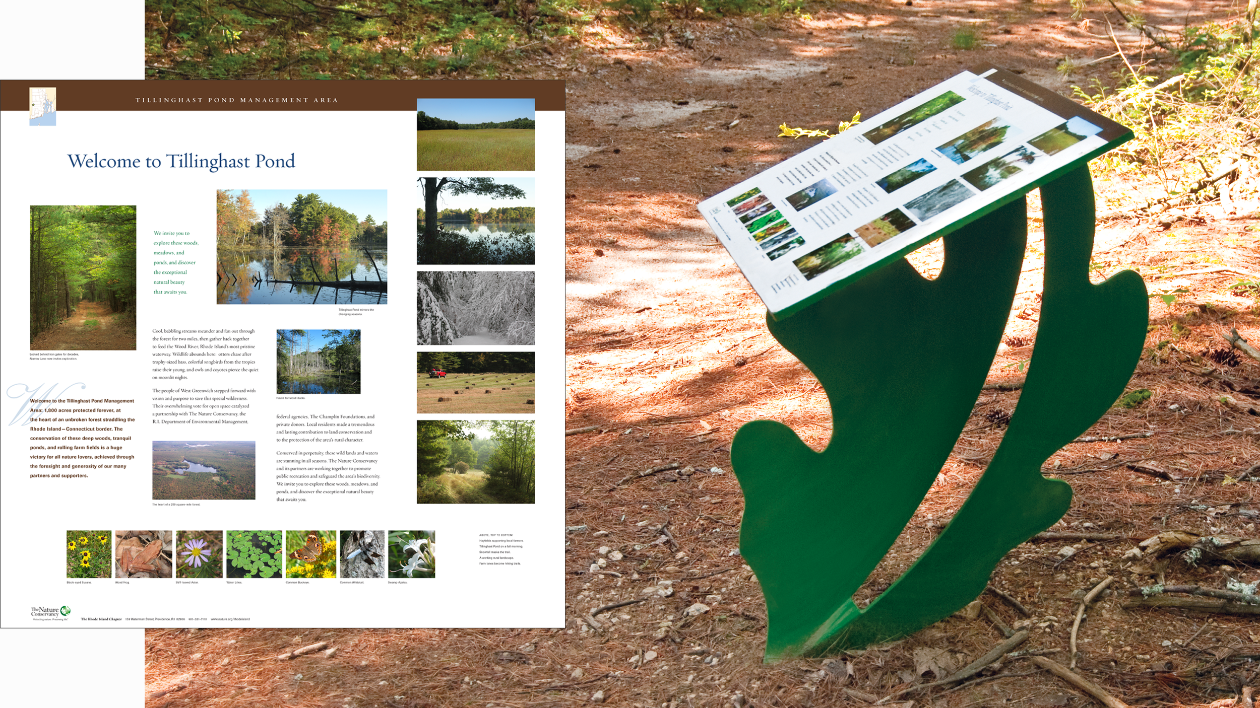 The Nature Conservancy RI