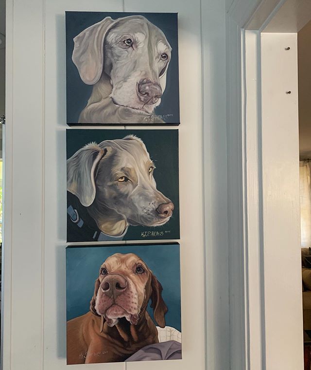 I love seeing some of the dogs I&rsquo;ve painted in their homes #pet portraits #dogs #pets #oilpaintings #dogpaintings #petportraits #commissions