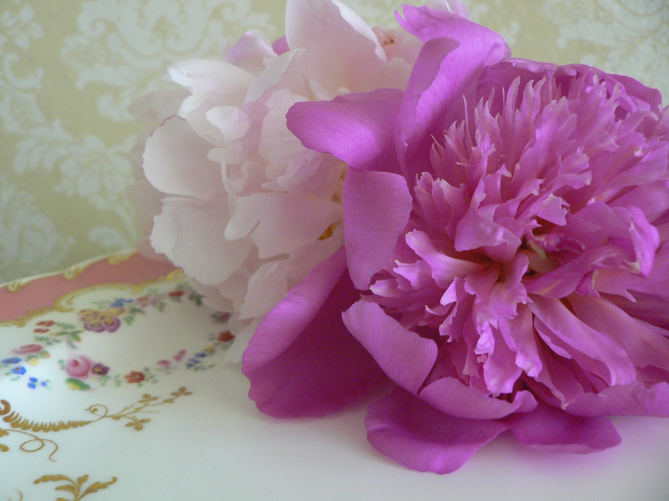aP1170661.JPG