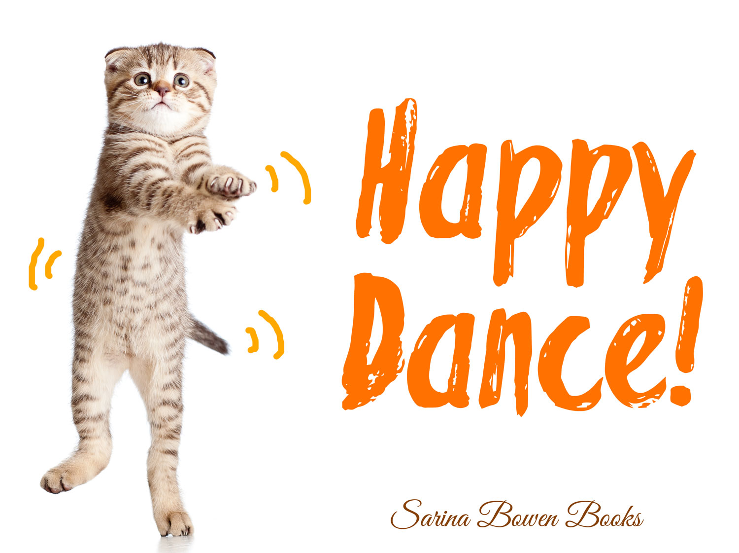 This cat is happy because his photo was obtained legally on a stock photo site.