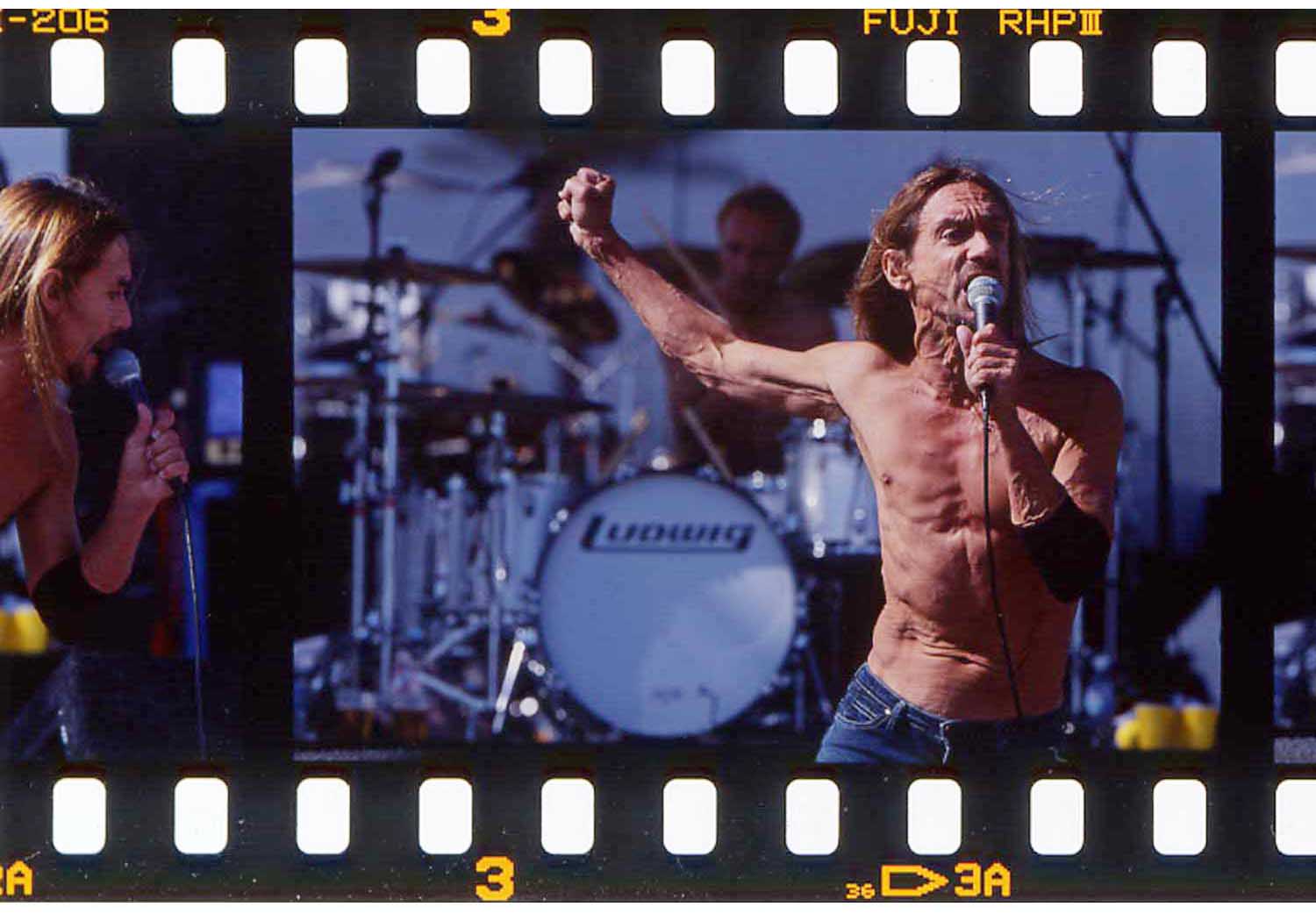 Iggy Pop @ Coachella Music Festival.jpg