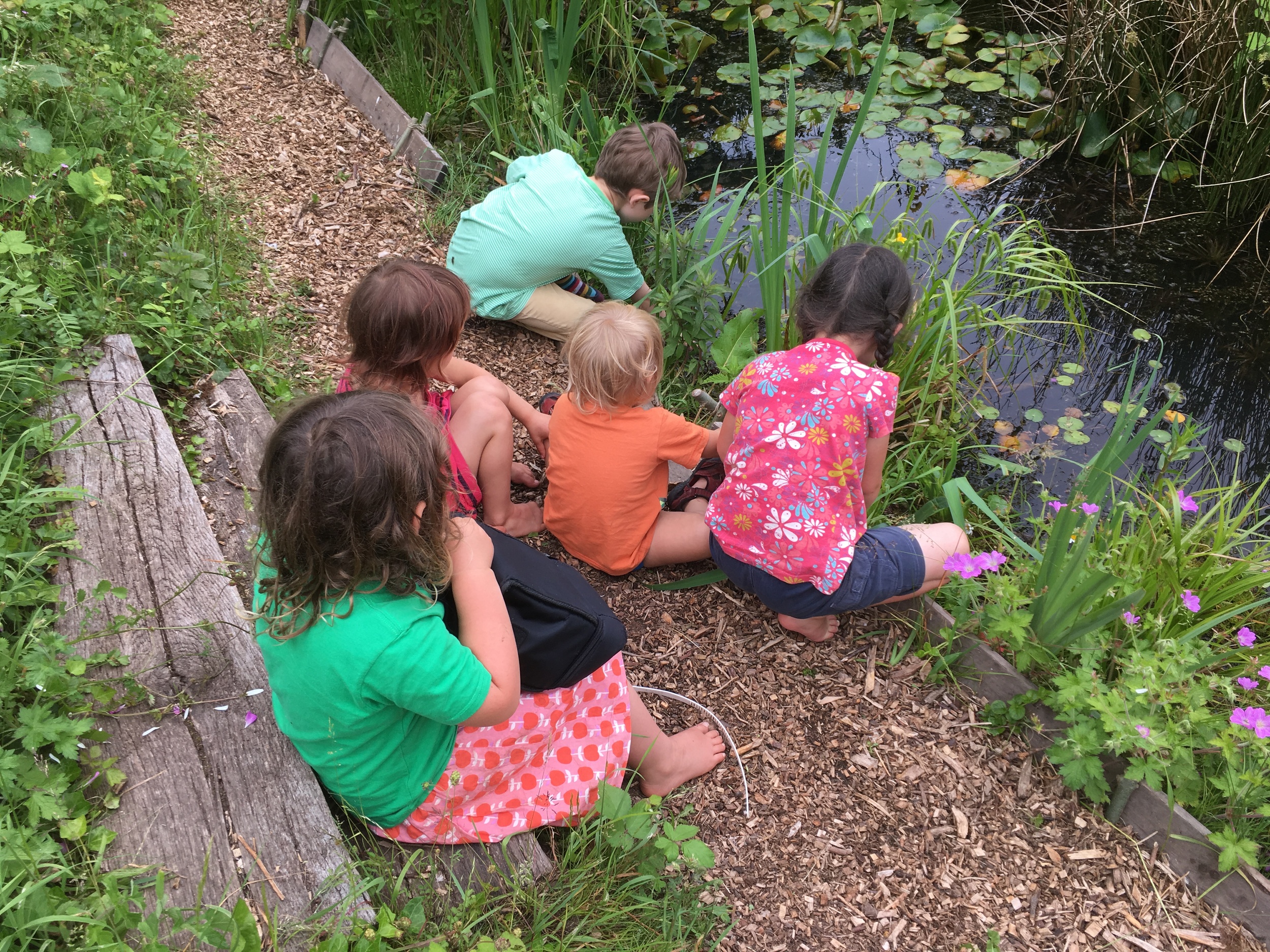 children can be free to explore our little oasis of wilderness in the middle of the city