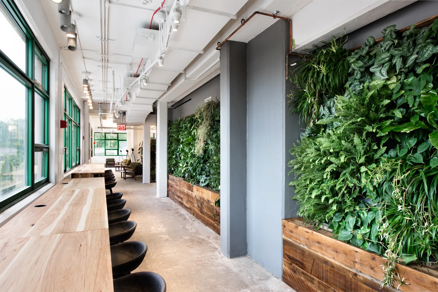 Etsy HQ, living walls