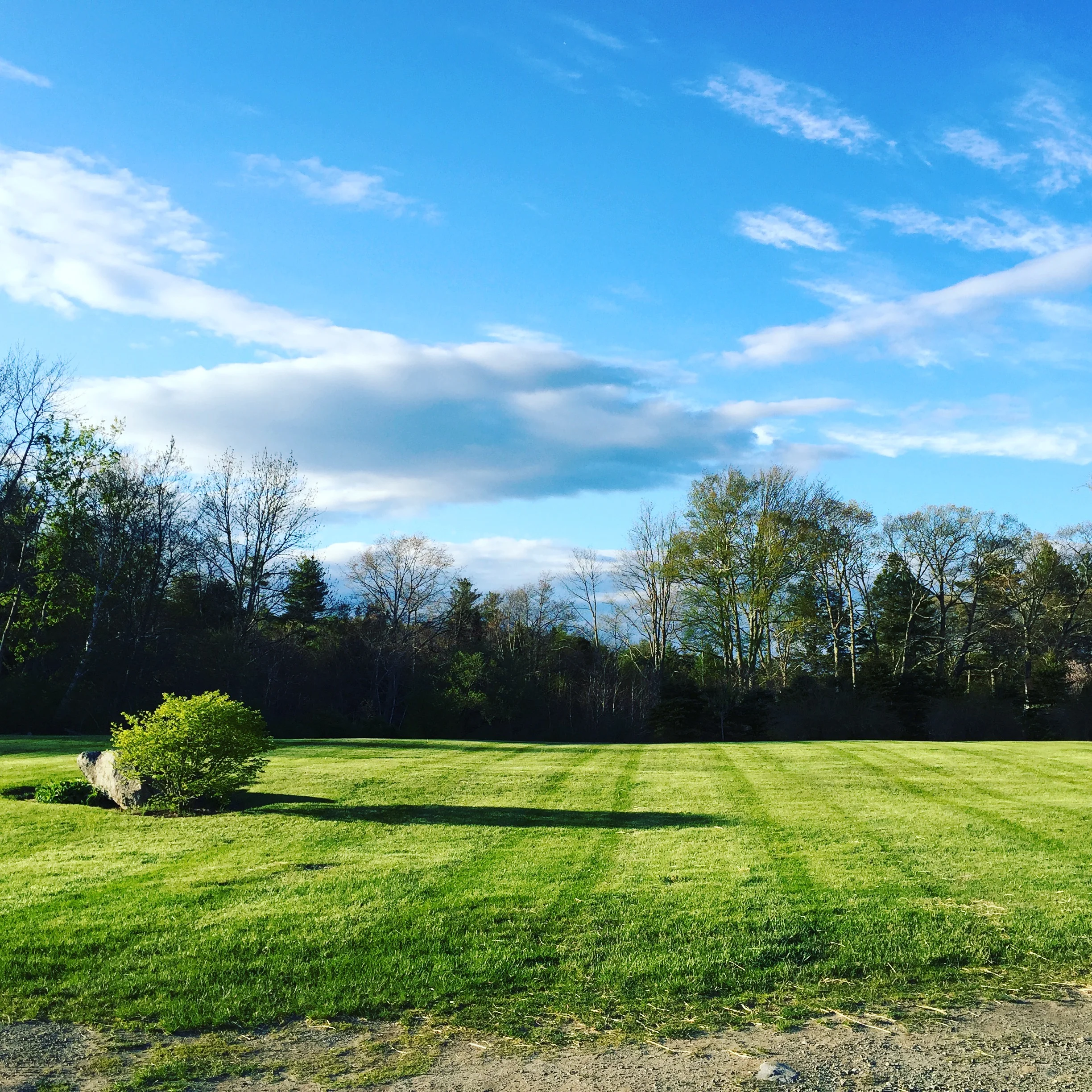 About — Harmony Hill