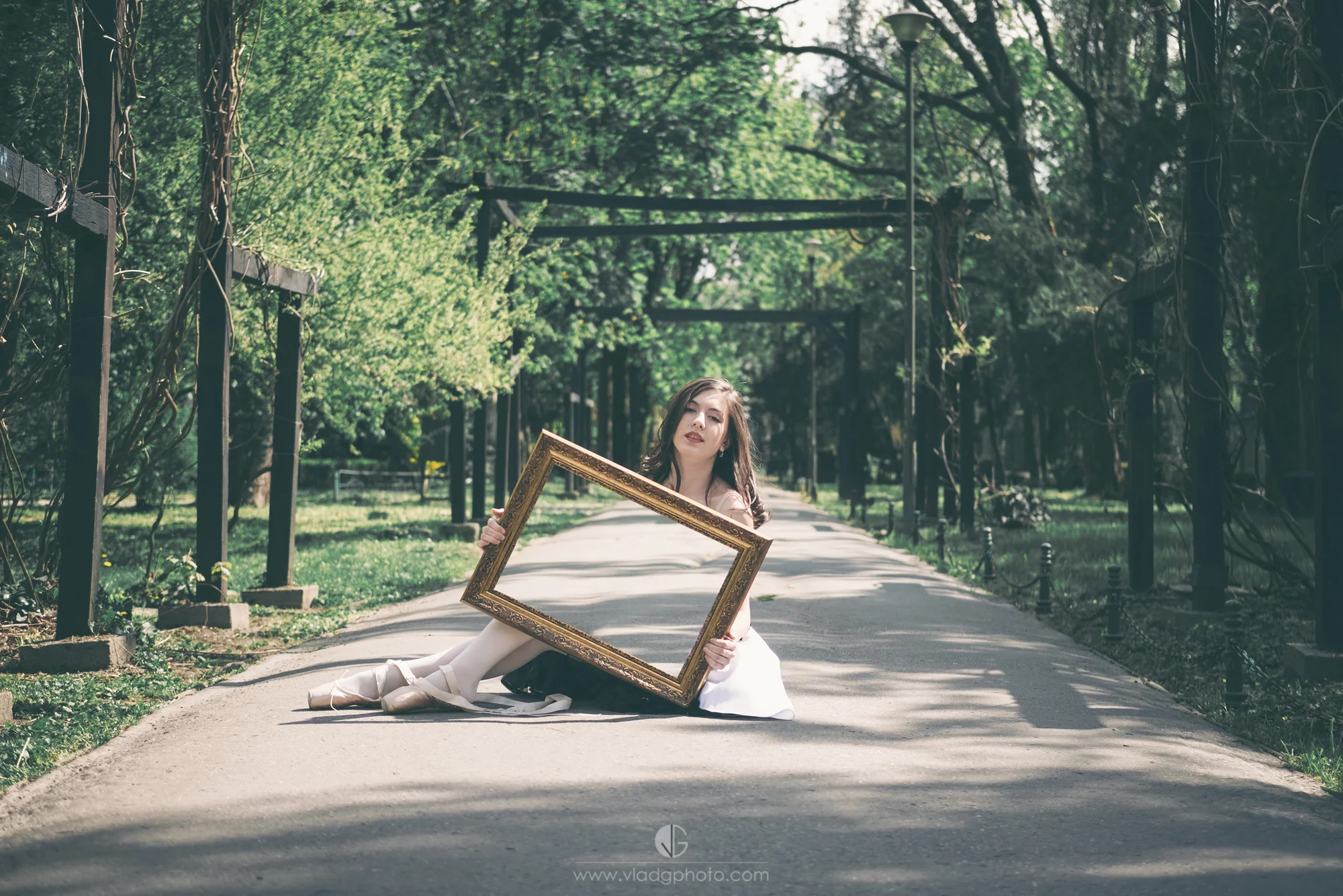 See through Frame.jpg