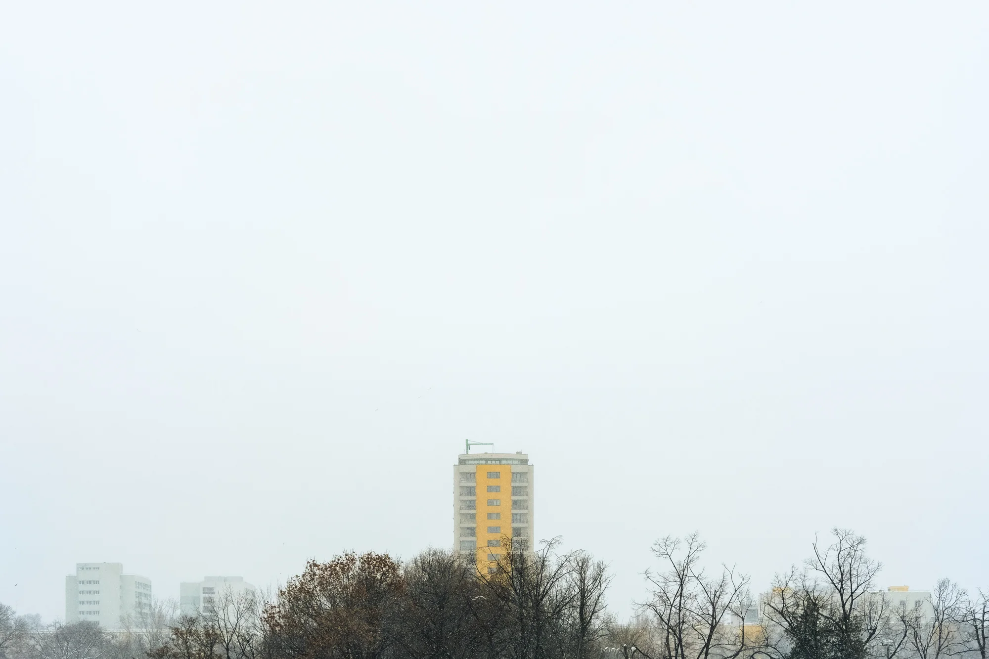 VGXP1304.jpg