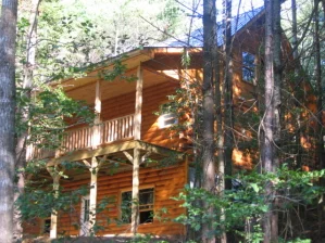 Cabin-2 story.jpg