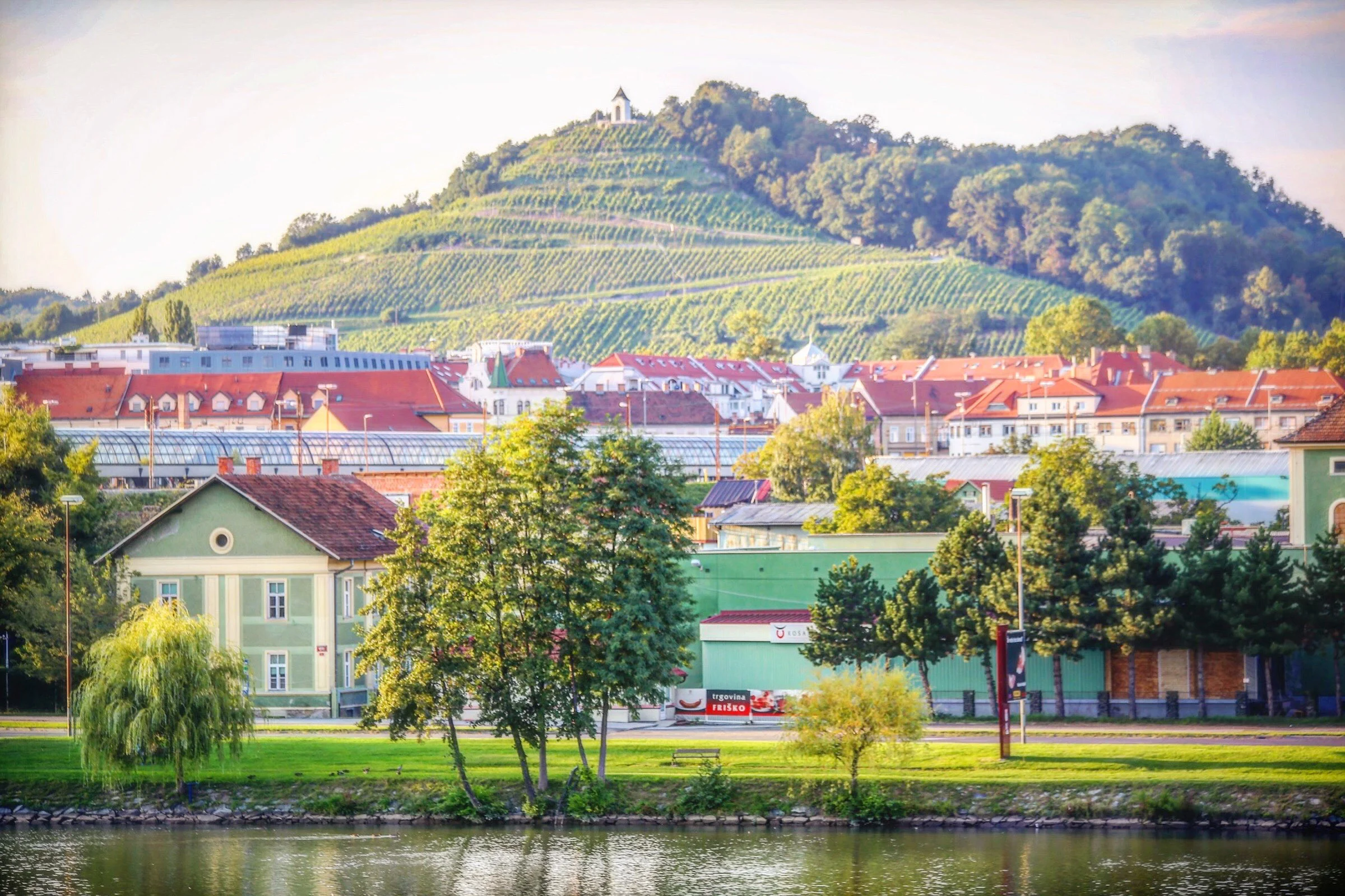 The Birth of Maribor