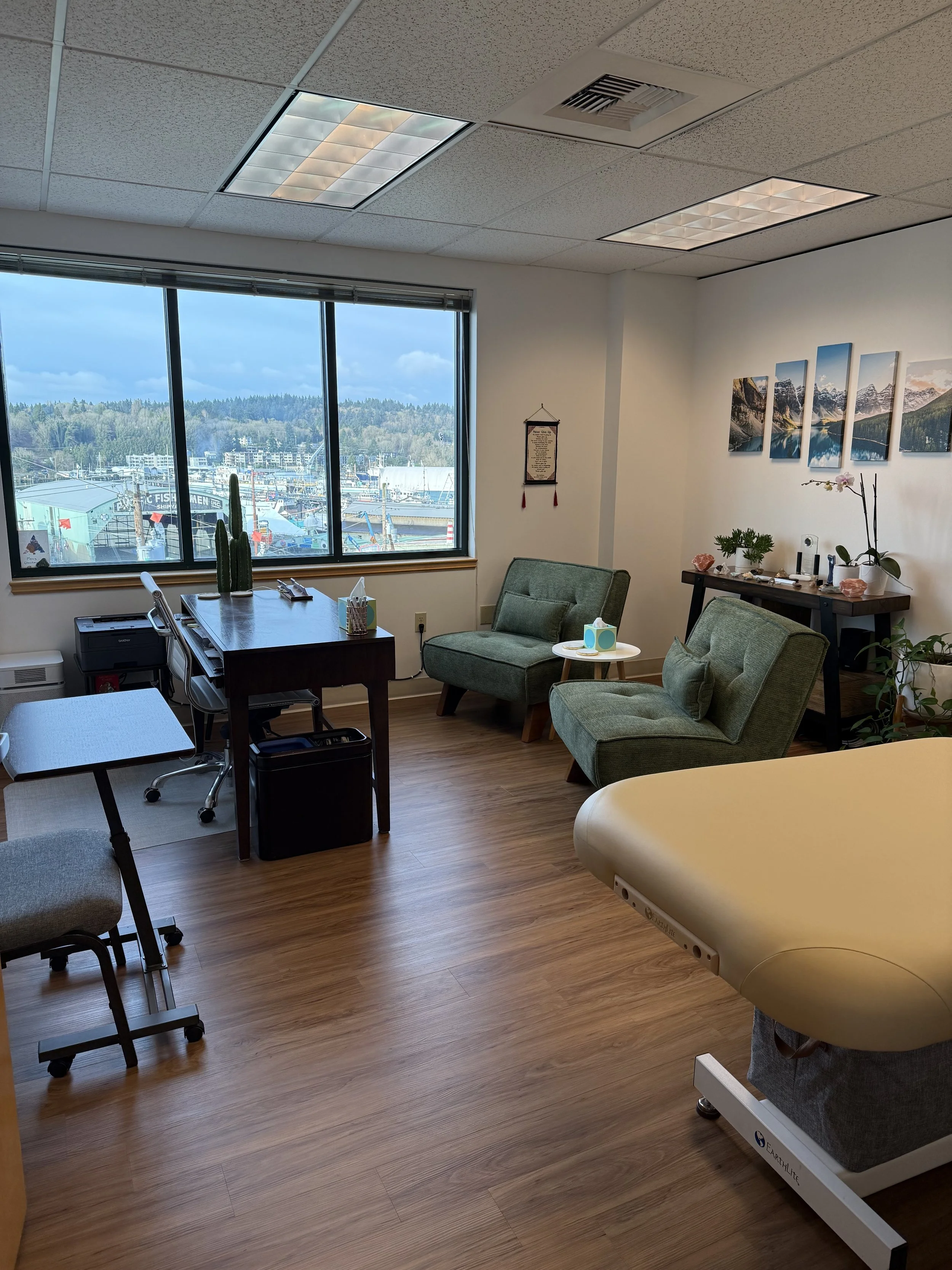 doctor's office with plush, size-inclusive chairs and exam table overlook seattle through big windows