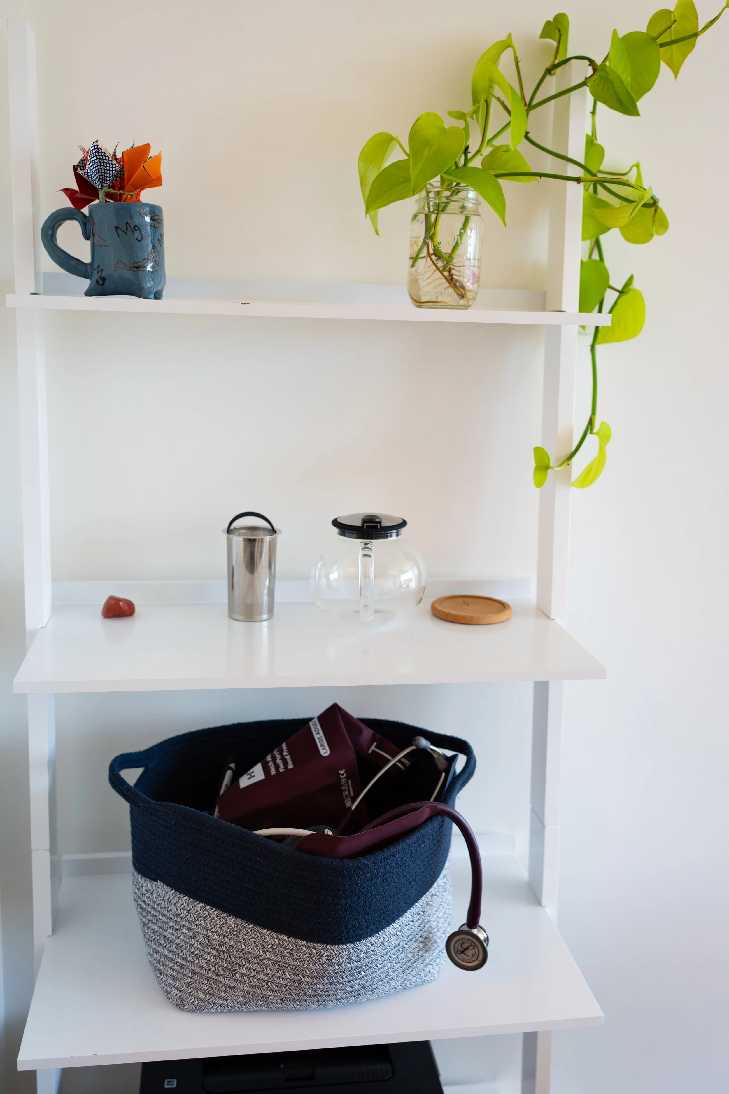 shelves at a doctor's office. A plant is on the top shelf. An inclusive sized blood pressure cuff and a stethoscope are on the bottom shelf.