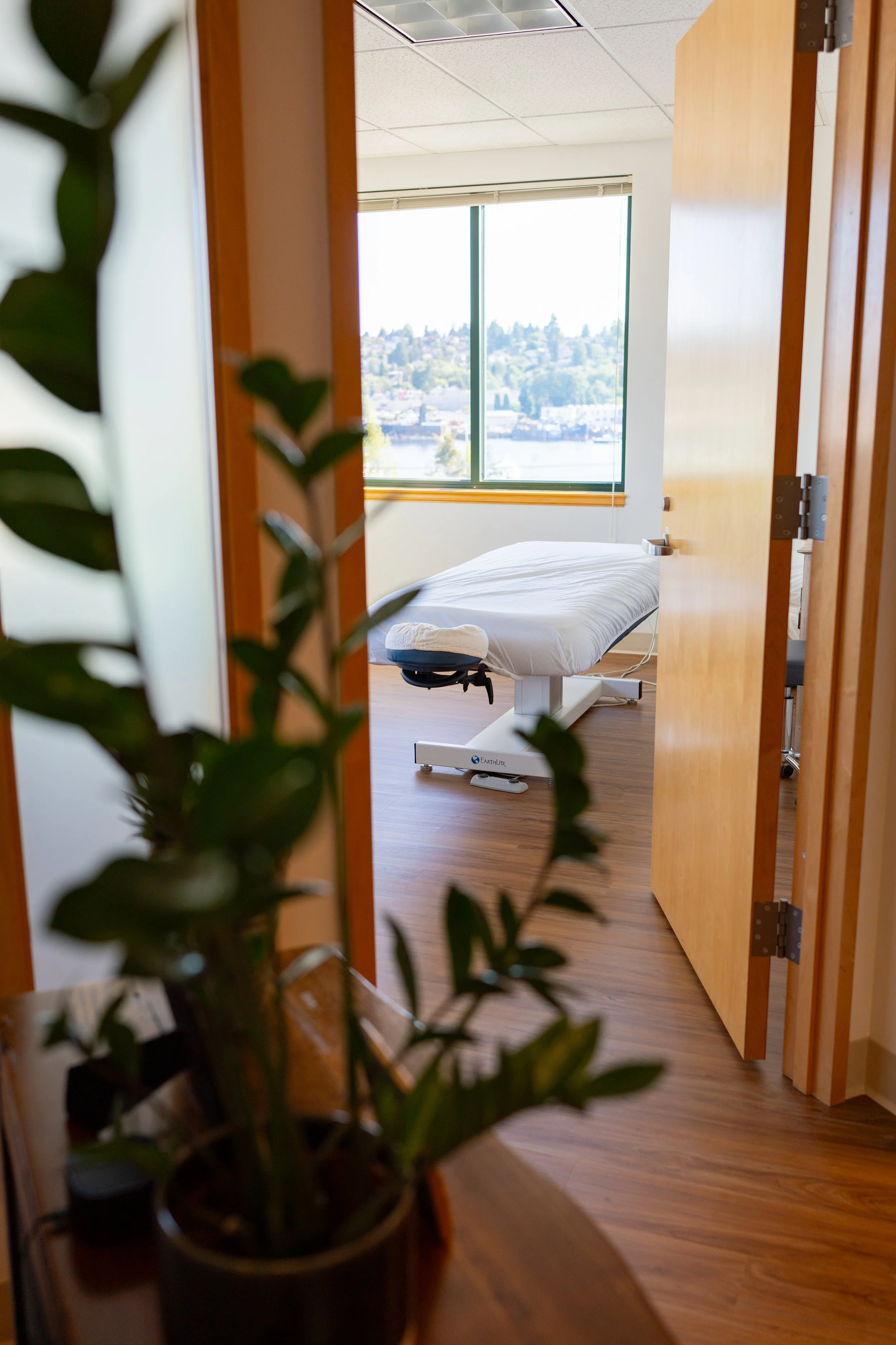 image of a doctor's office from a perspective outside the door. A plant is in the foreground. The office window overlooks Seattle.