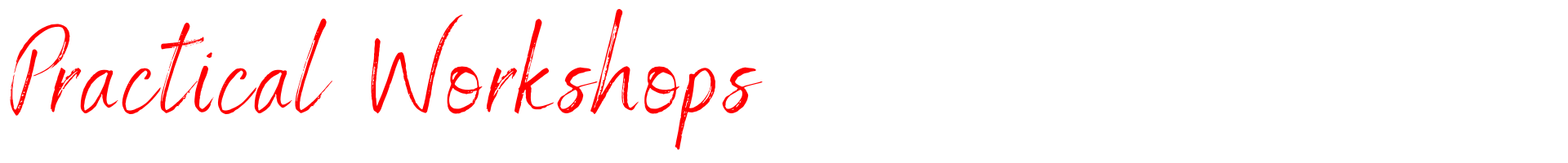 Title - Prac Wksp.png