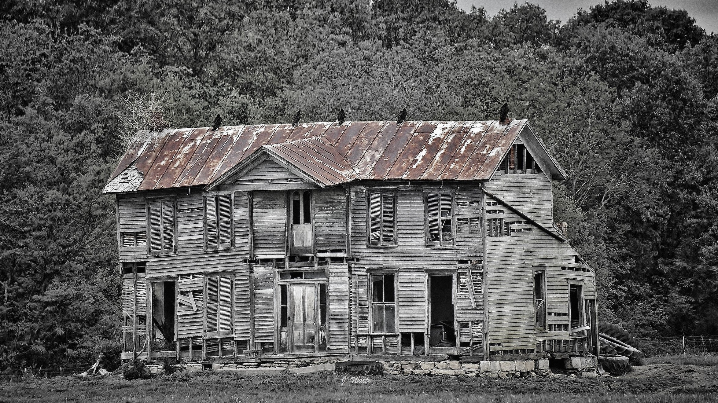 The House Of Buzzards