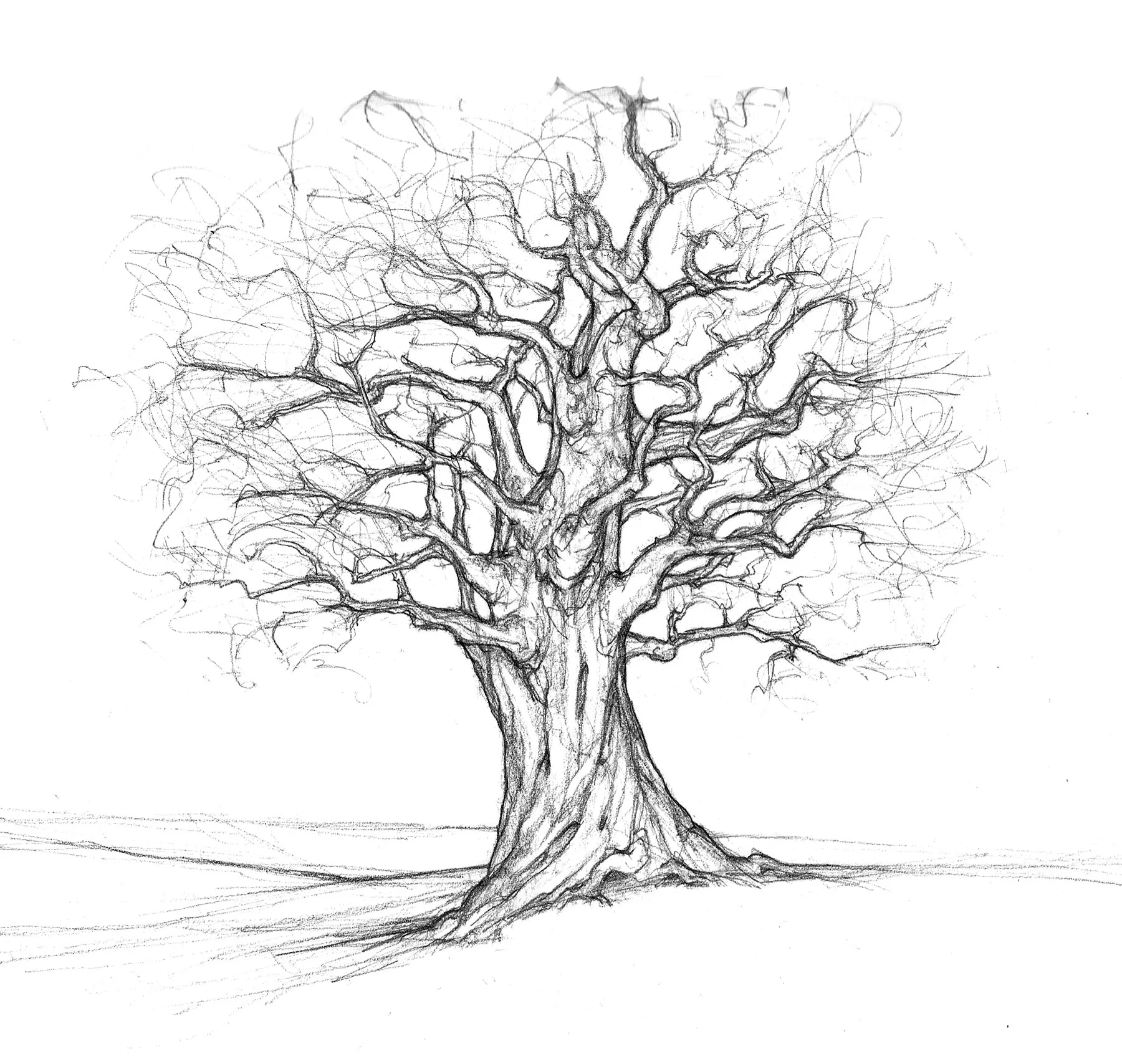 Knarly_Tree.jpg