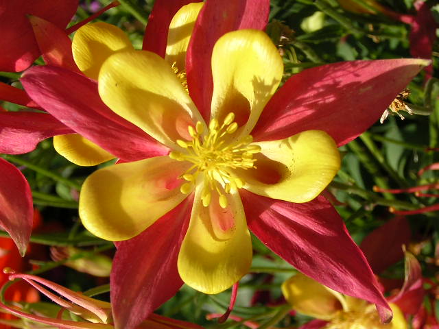 DSCN0822.JPG