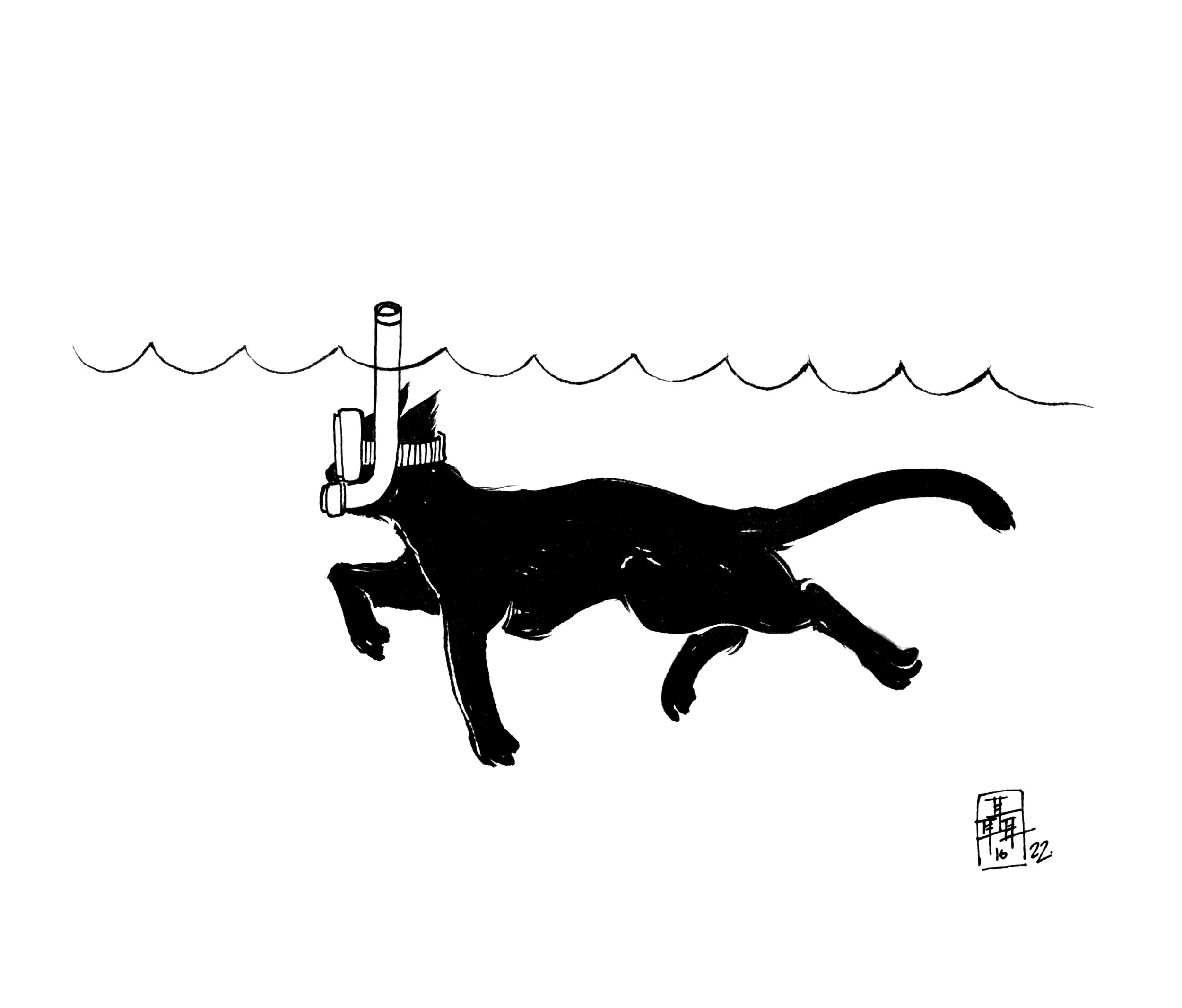 INKT2016_22-scubacat-sm.JPG